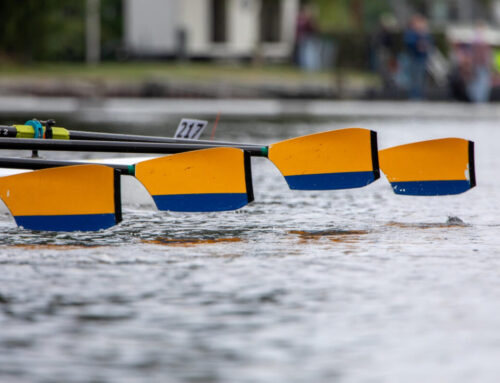 Spaarne Lenterace