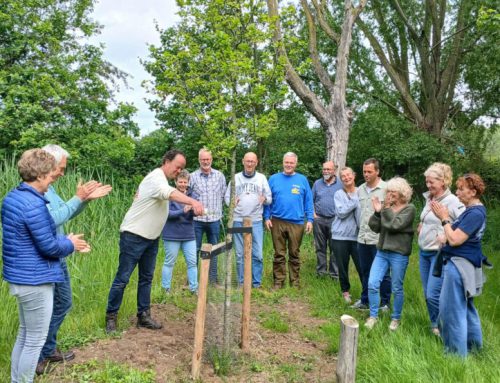 “Wetterwille” water voor de herinneringsboom